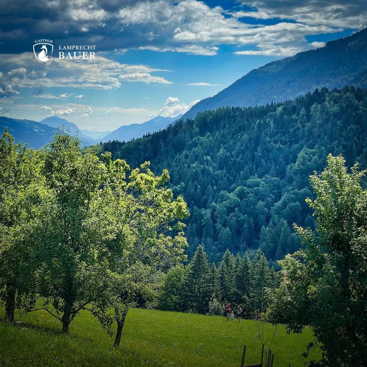 Kotschach-Mauthen Gasthof Lamprechtbauer מראה חיצוני תמונה